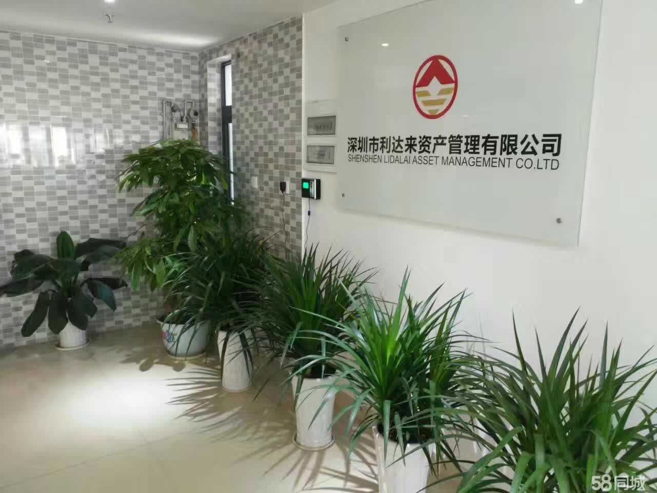 深圳市利達來資產管理 專業投資顧問的價值與選擇指南